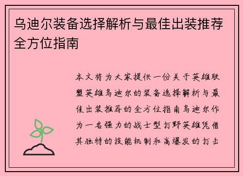 乌迪尔装备选择解析与最佳出装推荐全方位指南