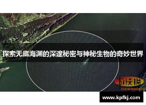 探索无底海渊的深邃秘密与神秘生物的奇妙世界